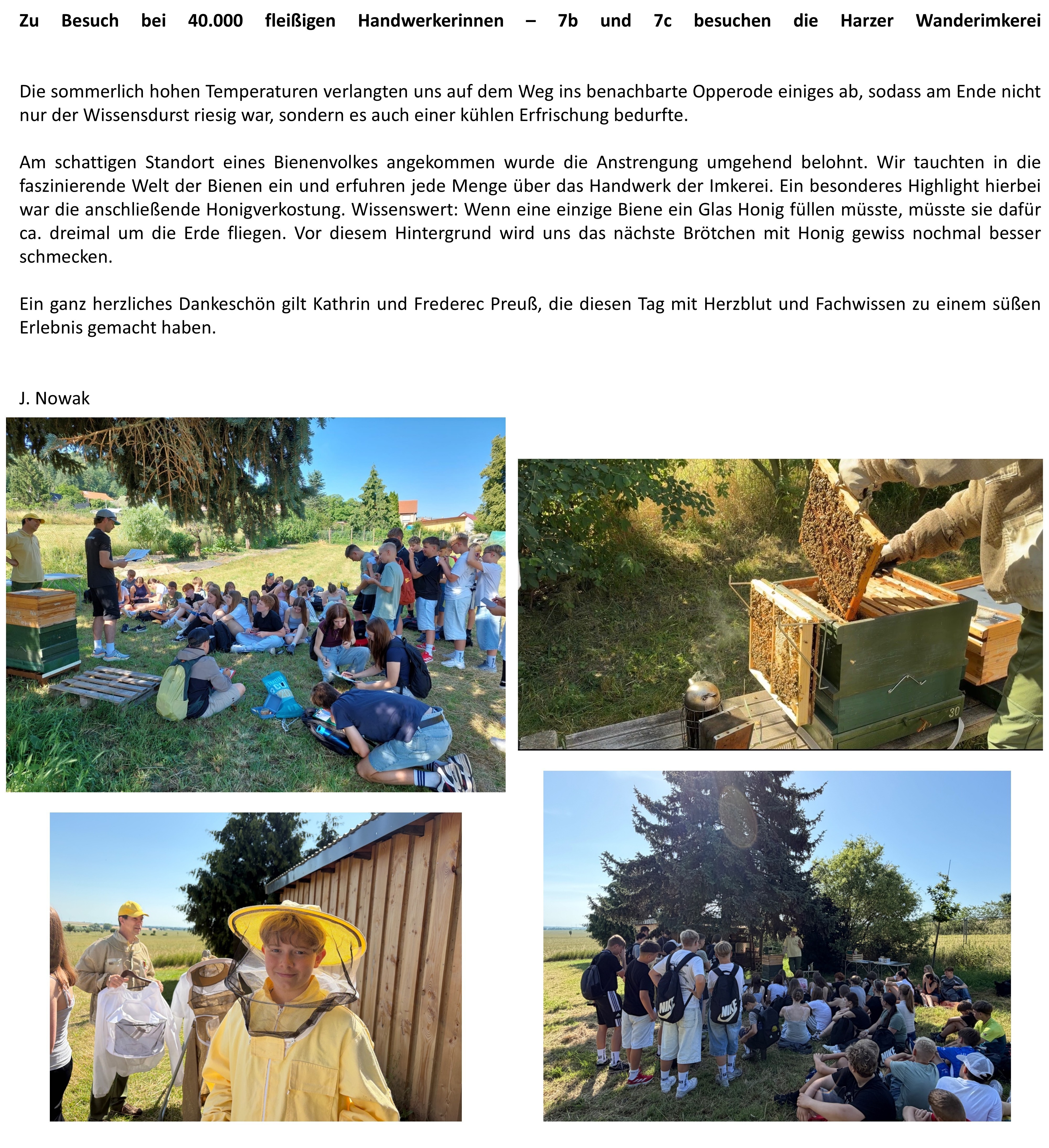 Bienen